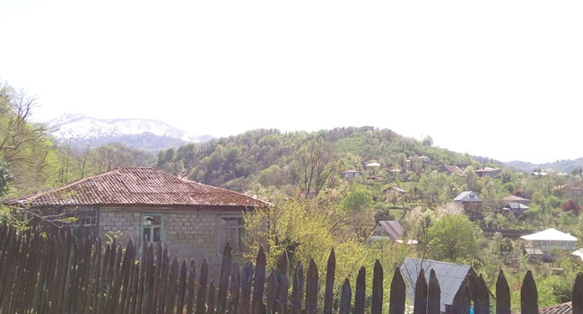 როგორ ამინდს პროგნოზირებენ გურიაში