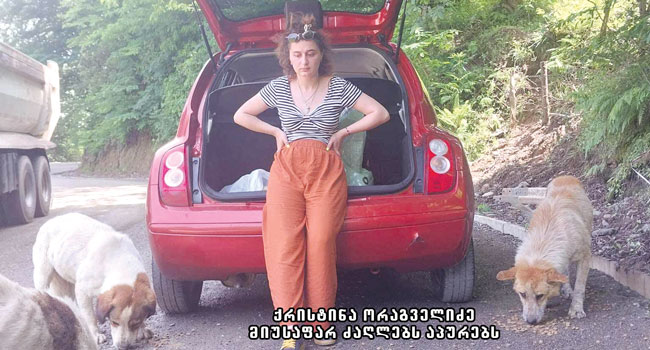 რატომ არ გამოცხადდა ტენდერი  მიუსაფარი ძაღლების კასტრაცია-სტერილიზაციის დაფინანსებასთან დაკავშირებით