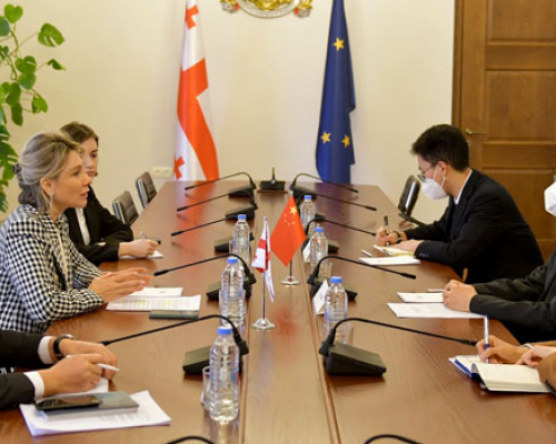 “ბევრი საინტერესო ინოვაციის შემოტანა შეგვიძლია ჩინეთიდან სოფლის მეურნეობის მიმართულებით”