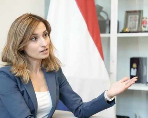 მელინე არაკელიანი: “ჩვენ ვუერთდებით ევროპის სხვა ქვეყნებს და ინსტიტუტებს, რომ საჭიროა მიუკერძოებელი გამოძიება”