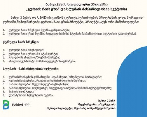 ბახვი ჰესის სოციალური პროექტი – „გურიის ჩაის გზა“ და სტუმარ-მასპინძლობის სექტორი