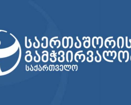 მაღალი დონის კორუფციის სავარაუდო შემთხვევები-„საერთაშორისო გამჭვირვალობა – საქართველოს” სია
