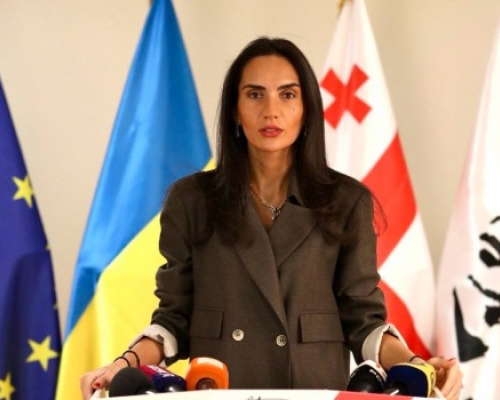 “ენმ-ს” თბილისის ორგანიზაციის ხელმძღვანელი, სოფო ჯაფარიძე სასამართლოში დაიბარეს