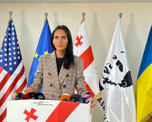 “ოცნება” უნდა შეეგუოს, რომ ჩვენ არასდროს დავთმობთ ევროპულ მომავალს”- სოფო ჯაფარიძე